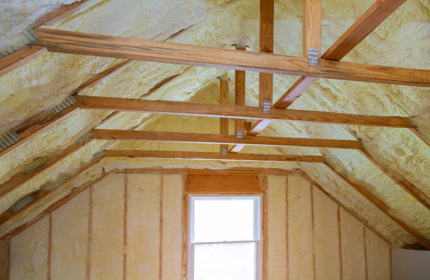 Best Local Insulation Services  in Ainsworth, NE