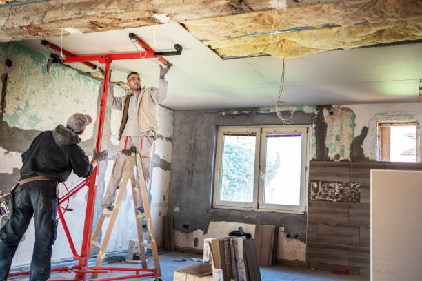 Best Local Insulation Services  in Ainsworth, NE