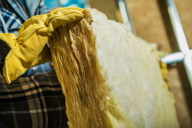 Best Residential Insulation Services  in Ainsworth, NE