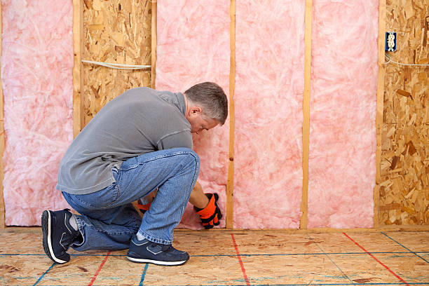 Best Attic Insulation Installation  in Ainsworth, NE