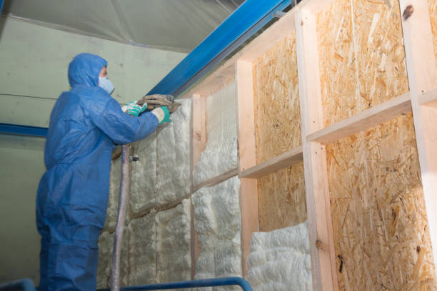 Best Professional Insulation Contractor  in Ainsworth, NE